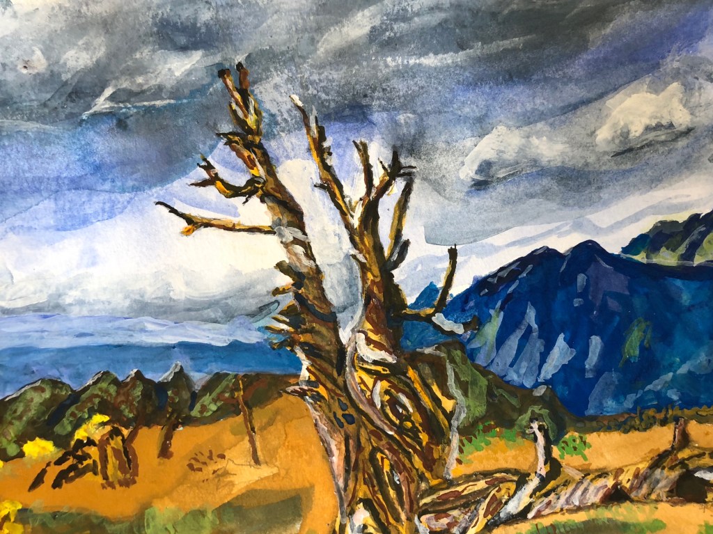 Dead Bristlecone Pine&nbsp;Watercolor