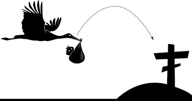 The Problem With A One and Done Life