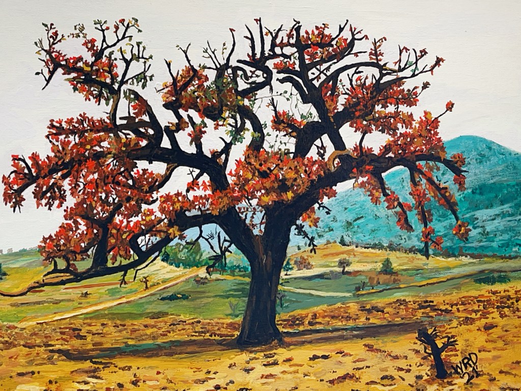 A Tree I Used To&nbsp;Know