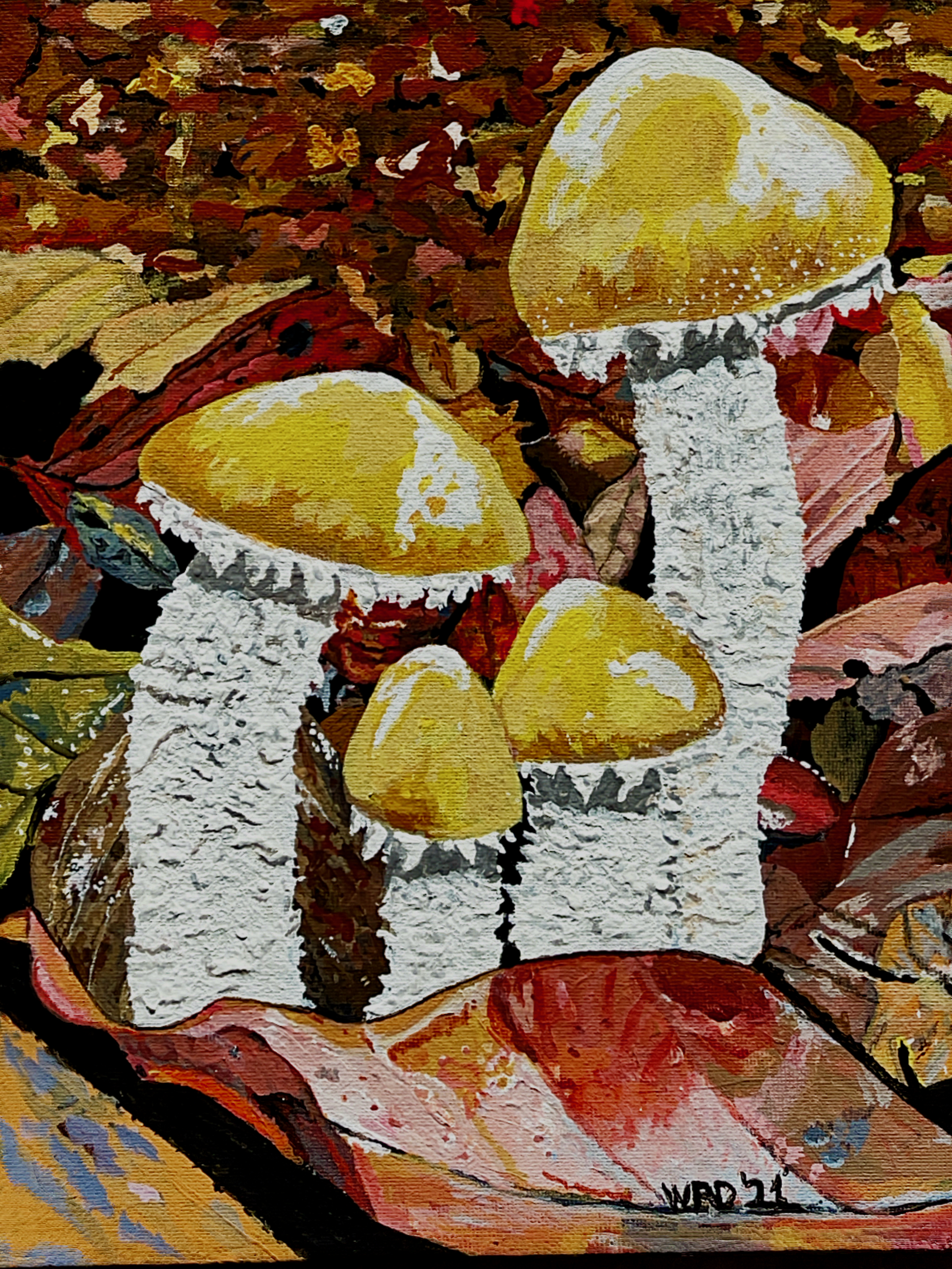 Fall Mushrooms