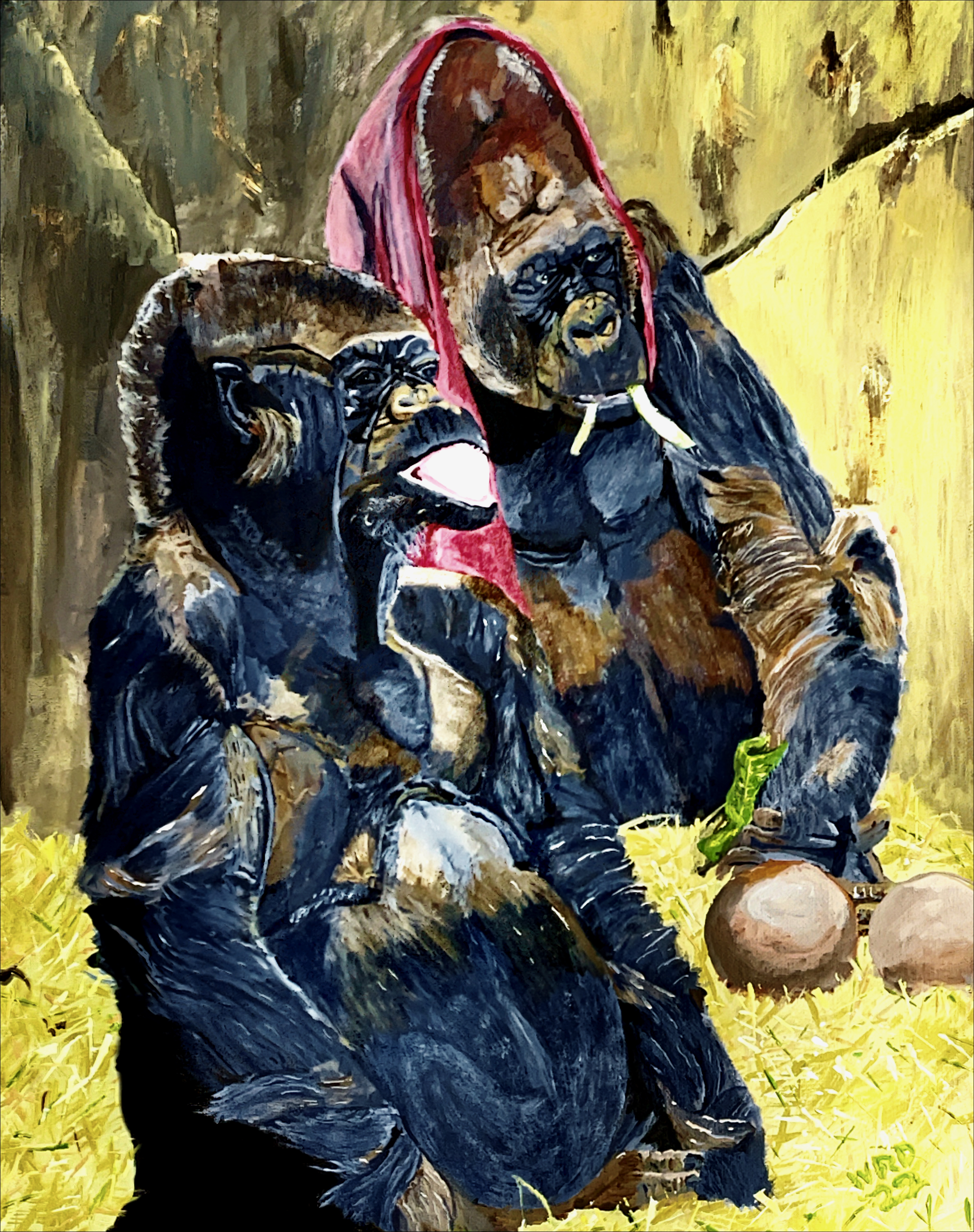 Gorillas At Woodland Park Zoo