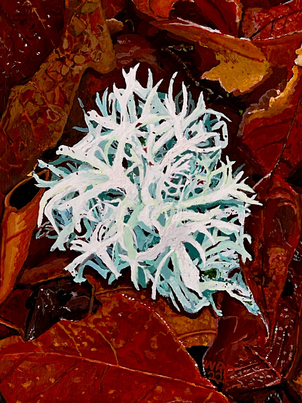 Oak Moss on Fall&nbsp;Leaves