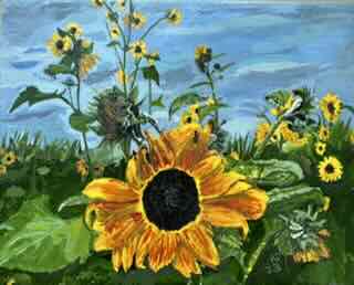Field of Flowers